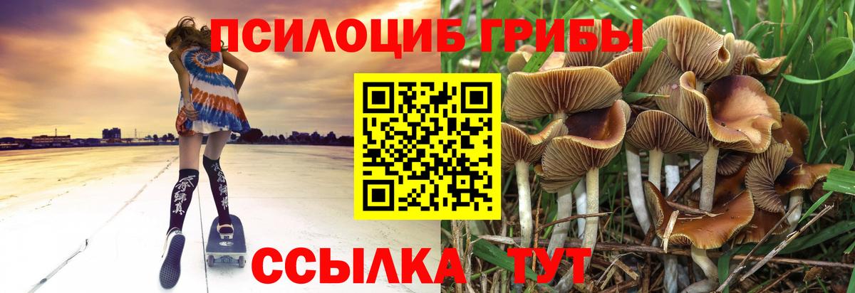Орёл  Галлюциногенные грибы мицелий  Вход с VPN 